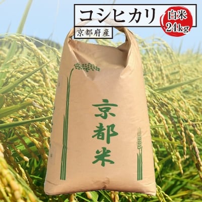 【令和7年産】京都府産コシヒカリ(白米)24kg【1089661】