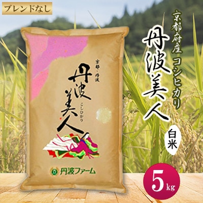 【令和7年産】京都府産コシヒカリ　丹波美人(白米)5kg【1089657】