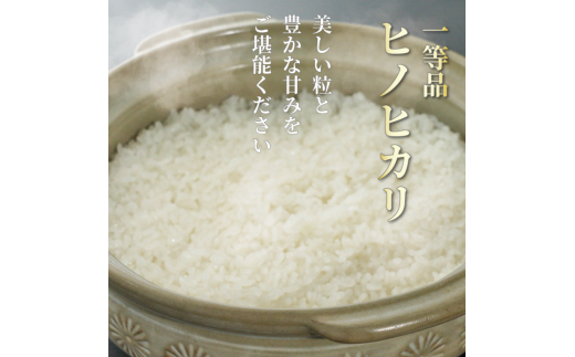 定期便 6回 一等品 京都府産 ヒノヒカリ 3kg 白米 宇治 ごはん ひのひかり 令和6年産 京都 京都府 減農薬 EJ05