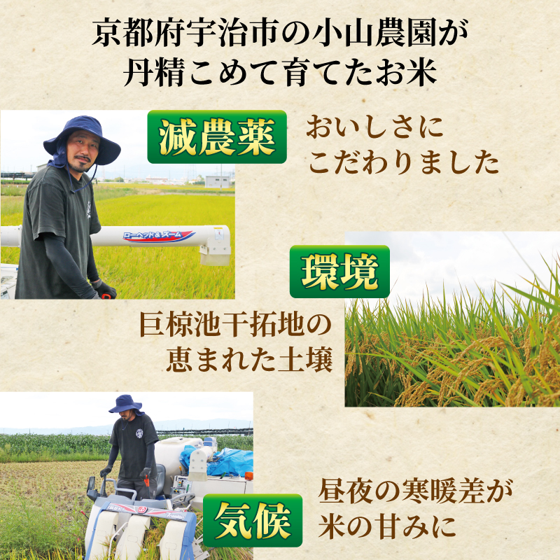 定期便 6回 一等品 京都府産 ヒノヒカリ 3kg 白米 宇治 ごはん ひのひかり 令和6年産 京都 京都府 減農薬 EJ05