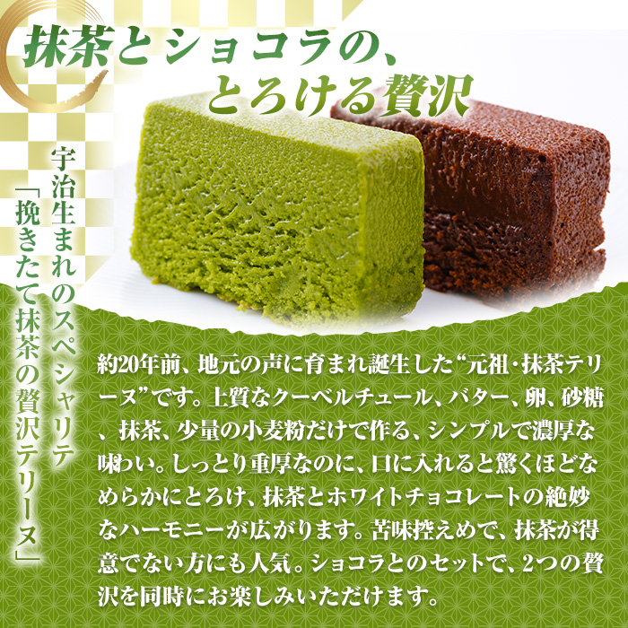 抹茶・ショコラテリーヌ(ハーフ&ハーフ・計2本)【uj-HI004】【シェ・アガタ】