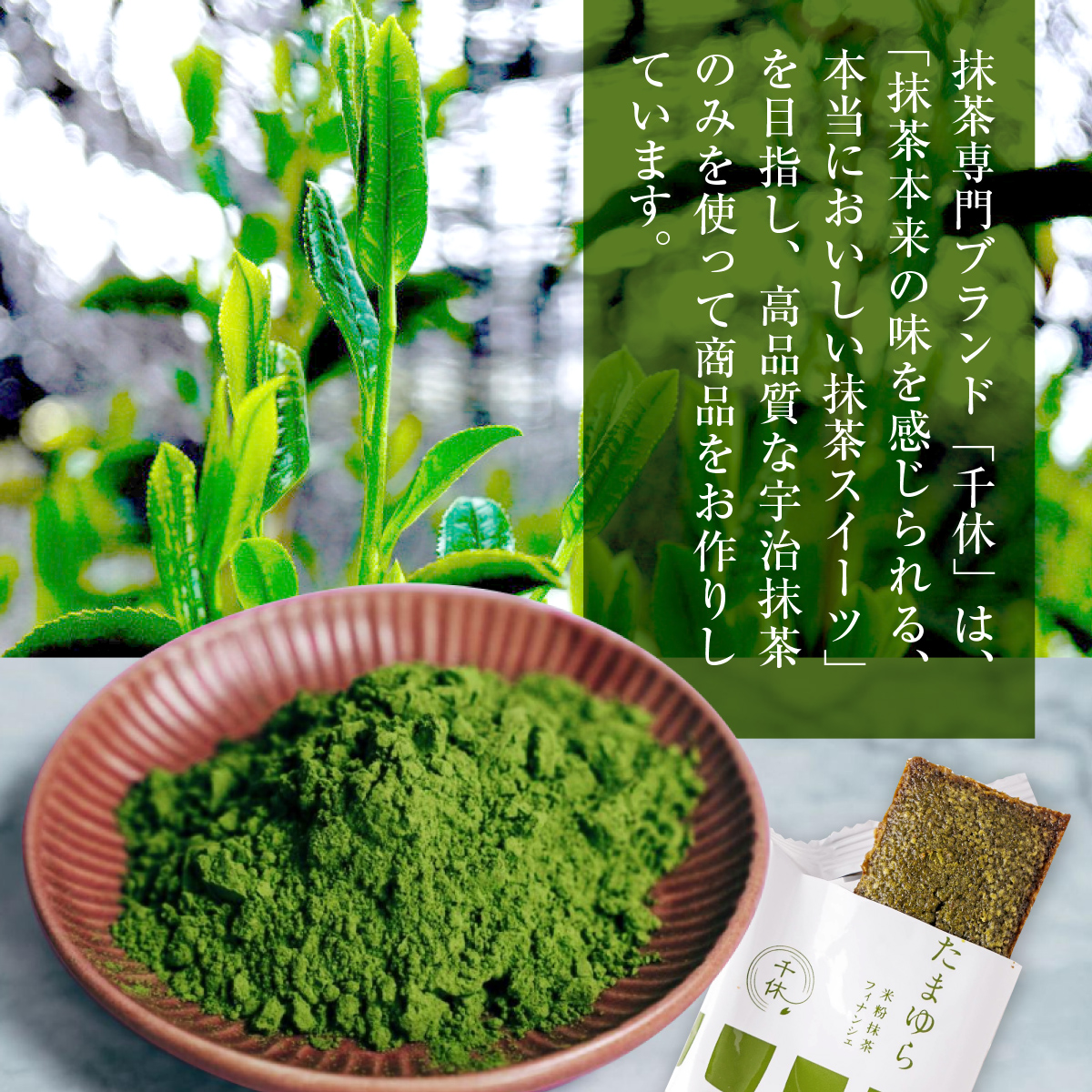 定期便全3回 濃厚！米粉の抹茶フィナンシェ10個入り　宇治茶 宇治抹茶 抹茶 フィナンシェ 菓子 スイーツ　CM17