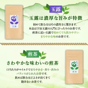 水出し宇治茶とハリオフィルターインボトルのセット(お茶2種・ボトル1本) 特産品 水出し お茶 宇治茶 緑茶 玉露 煎茶 ハリオ HARIO フィルターインボトル 【uj-AG001】【宇治日の出園】