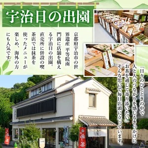 水出し宇治茶とハリオフィルターインボトルのセット(お茶2種・ボトル1本) 特産品 水出し お茶 宇治茶 緑茶 玉露 煎茶 ハリオ HARIO フィルターインボトル 【uj-AG001】【宇治日の出園】