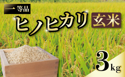 一等品 京都府産 ヒノヒカリ 3kg 玄米 宇治 ごはん ひのひかり 令和6年産 京都 京都府 減農薬　EJ03