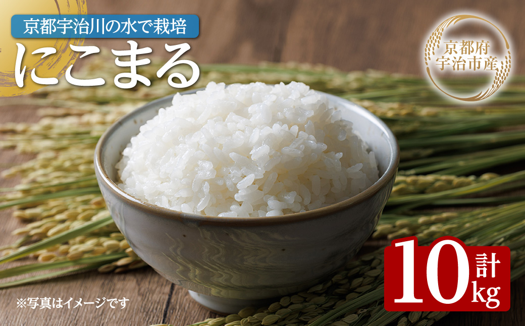 ＜数量限定・宇治市産＞＜令和7年産＞にこまる(10kg) 米 10kg にこまる ツヤ 甘み 粘り バランス 給食 弁当 京都巨椋池 琵琶湖 宇治川 大粒 【uj-FS001】