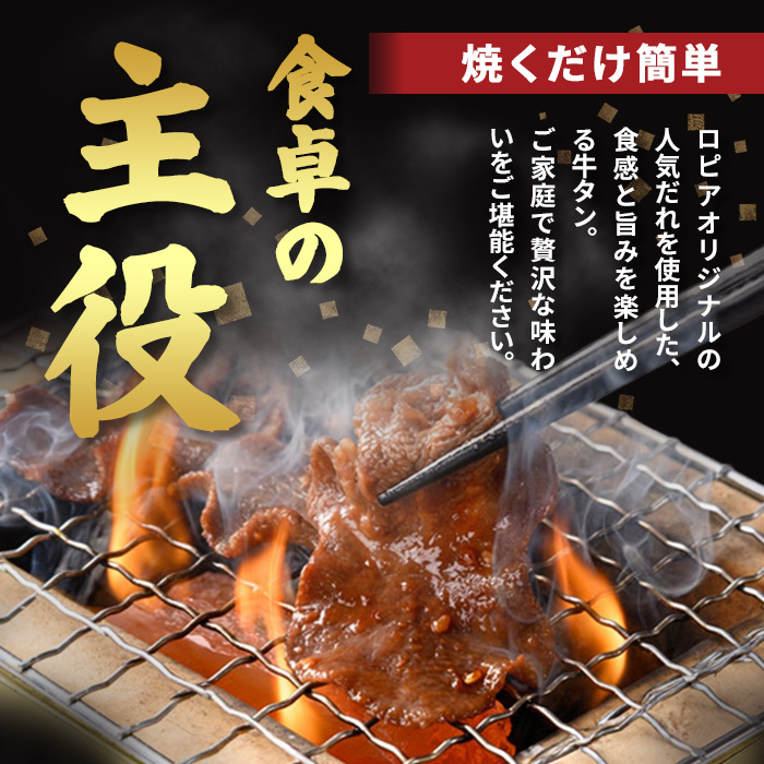 縲翫Ο繝斐い縲句袖莉倥¢迚帙ち繝ウ 2遞ョ(險500g/250gテ2)縲先ェ蠑丈シ夂、セ繝ュ繝斐い縲代訊j-FV002縲