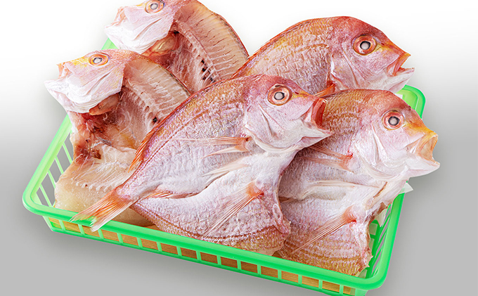 荳ケ蠕後ョ縺企ュ壼ア九&繧謎ク謚シ縺励ョ邨カ蜩√Ξ繝ウ繧ウ繝繧、縺ョ荳螟懷ケイ縺 鬲夊イ晞。 蜉蟾・鬟溷刀