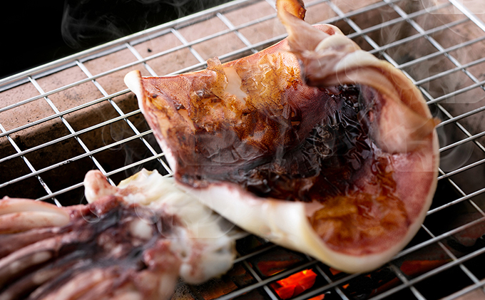 やまいち自慢、干物詰め合わせセット サバ カレイ イカ 一夜干し 桜干し みりん干し 魚 干物 ひもの 詰め合せ セット おつまみ 日本酒 肴  myz02 myz11 myz17