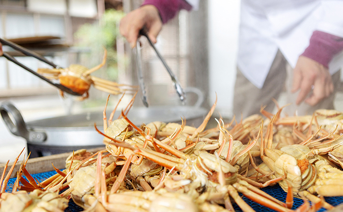 新物 セコガニ コッペがに ほぐし身（特大サイズ）3個セット 甲羅盛り〈お申込み～2026年7月中旬発送〉 蟹 カニ かに 松葉蟹 松葉ガニ ズワイガニ ボイル