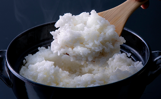 令和7年産 特別栽培米つやっ娘米 5kg 丹後こしひかり お米 米 ご飯 コシヒカリ お米 つやっ娘 丹後 宮津 京都 海の京都 特別栽培米 グルメ  myz06 myz11 myz19