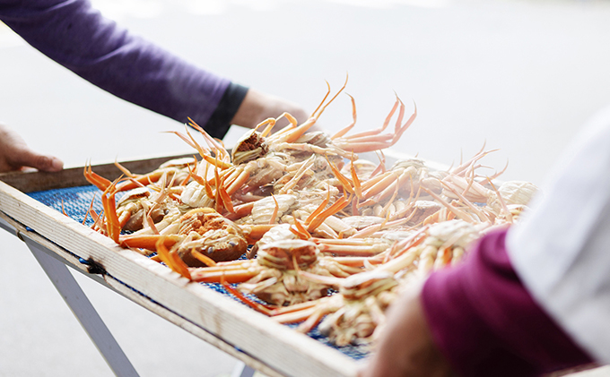 æ°ç© ã»ã³ã¬ã ã³ãããã« ã»ãã身ïŒå€§ãµã€ãºïŒ3åã»ãã ç²çŸ
çãã11æäžæ¬ïœ2026幎3ææ«çºéã è¹ ã«ã ãã« æŸèè¹ æŸèã¬ã ãºã¯ã€ã¬ã ãã€ã«