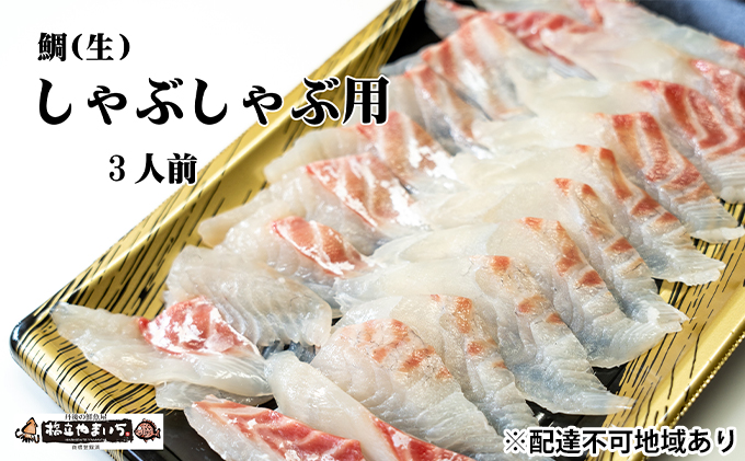 鯛（生）しゃぶしゃぶ用（3人前分） 魚貝類 タイ タイしゃぶ 真空冷凍 白身魚 21切れ