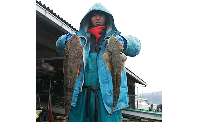 倩æ©ç« 宮接湟 è¹é£ãäœéšã貞åã2ïœ4åã宿œæéïŒ5æïœ10æã äœéšãã±ãã