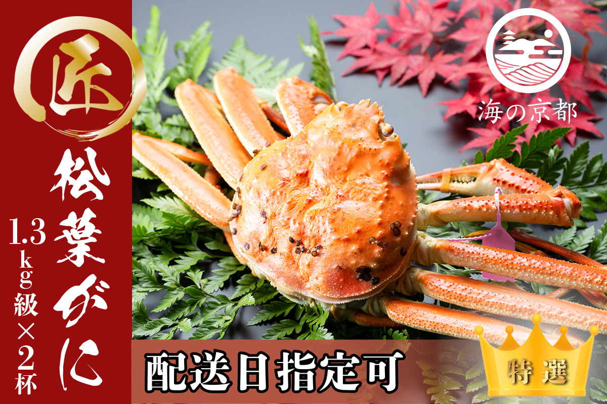 【配送日指定可】茹で松葉蟹 最上級 2杯（1,300g級）〈11月中旬～2026年3月末頃発送〉 蟹 カニ かに 松葉蟹 松葉ガニ ズワイガニ ボイル
