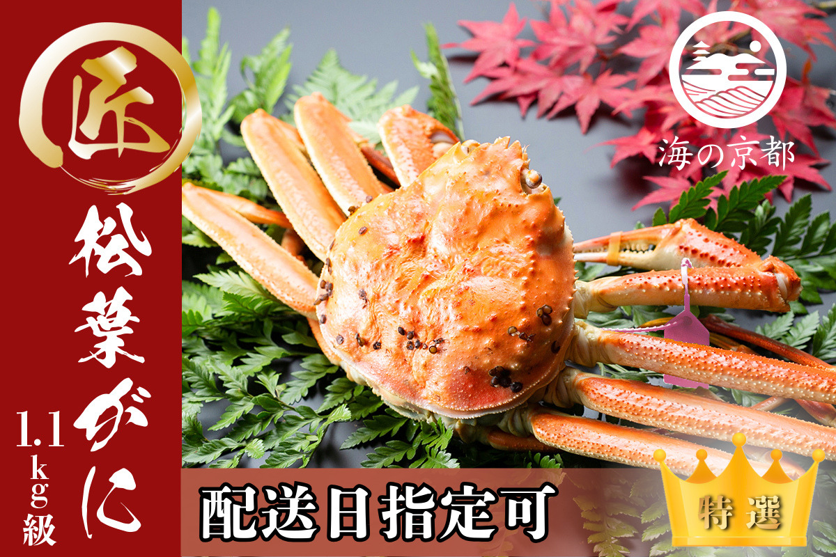 【配送日指定可】茹で松葉蟹 特々大1杯（1,100g級）〈11月中旬～2026年3月末頃発送〉 蟹 カニ かに 松葉蟹 松葉ガニ ズワイガニ ボイル