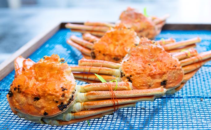 【配送日指定可】茹で松葉蟹 特上 1杯（1,200g級）〈11月中旬～2026年3月末頃発送〉 蟹 カニ かに 松葉蟹 松葉ガニ ズワイガニ ボイル