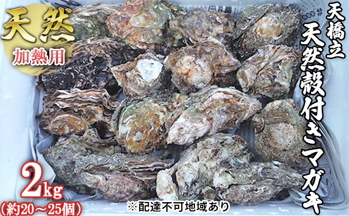 【ふるさと納税】天橋立 天然殻付きマガキ 2kg（約20～25個）【加熱用】魚貝類 牡蠣 カキ 天然 産地直送 焼き 蒸し 真牡蠣 日本酒 生牡蠣 かき 濃厚