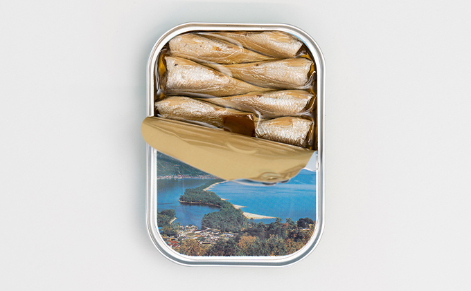 天橋立 オイルサーディン 缶詰 10個セット 竹中罐詰 加工食品 魚貝類 いわし 鰯 オイル漬け 料理 つまみ トッピング 非常食 お酒 酒 土産 