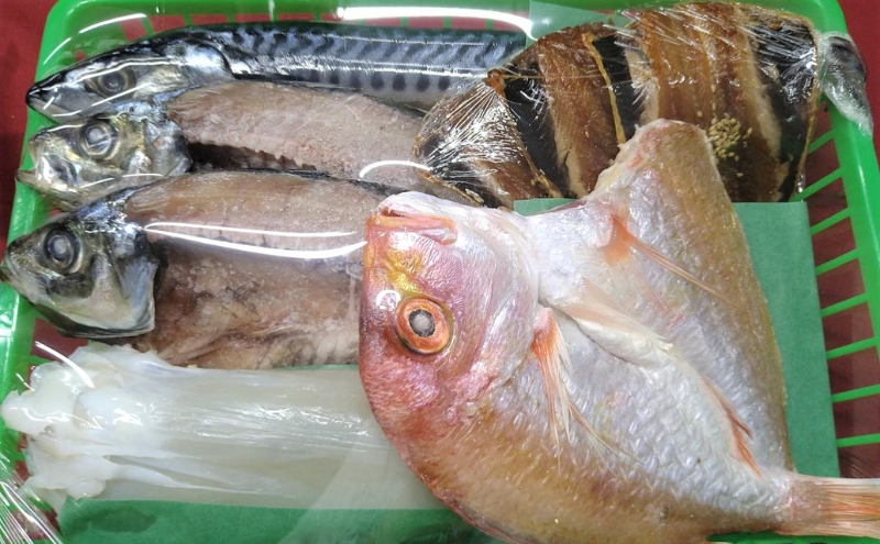 海の京都 橋立やまいち 干物セット 贈答用 C[ 一夜干し 桜干し ギフト ] 魚貝類 塩サバ イワシ イカ アジ レンコダイ 干物 おつまみ プレゼント 手土産  myz02 myz11 myz17