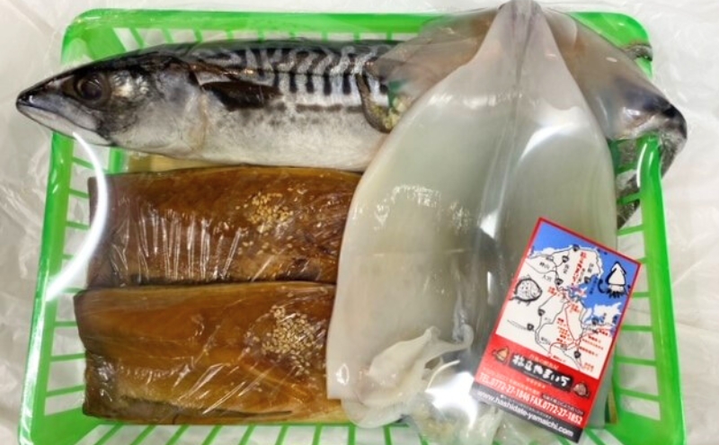 海の京都 橋立やまいち 干物セット 贈答用 B[ 一夜干し 桜干し ギフト ] 魚貝類 加工食品 鯖 サバ イカ 
