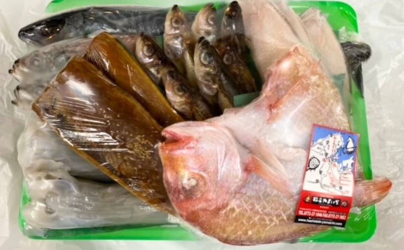 海の京都 橋立やまいち 干物セット 贈答用 D[ 一夜干し 桜干し ギフト ] 魚貝類 アジ イカ サバ ハタハタ 