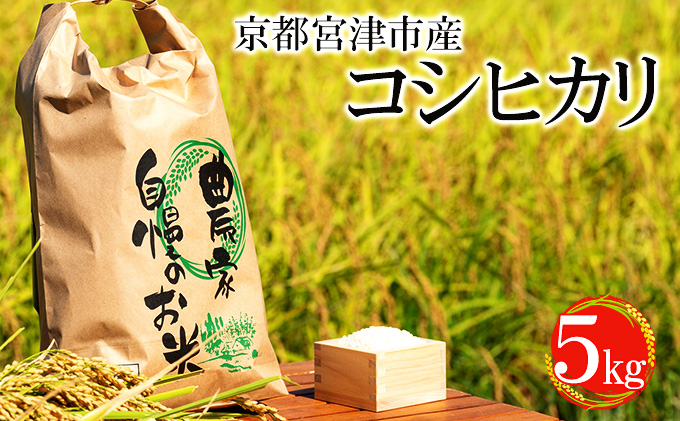 令和7年産 京都宮津市産コシヒカリ 5kg お米 白米 精米 コシヒカリ 5キロ 送料無料 ギフト ごはん ご飯 おにぎり お弁当