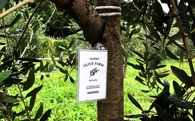 莠ャ驛ス螳ョ豢・ 繧ェ繝ェ繝シ繝悶ョ讓ケ縺ョ繧ェ繝シ繝翫シシ3蟷エ髢難シ 繝√こ繝繝 繧ェ繝シ繝翫シ讓ゥ 繧ェ繝ェ繝シ繝悶が繧、繝ォ 螳ョ豢・逕」 100シ 繧、繧ソ繝ェ繧「 繝医せ繧ォ繝シ繝顔肇 繝悶Ξ繝ウ繝 繧ョ繝輔ヨ 蜿守ゥォ 菴馴ィ 遏ウ縺代s 髢「騾」蝠蜩 縺雁ア翫¢