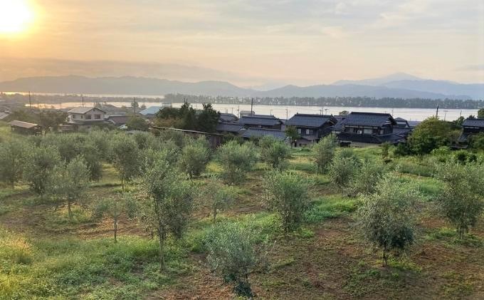 莠ャ驛ス螳ョ豢・ 繧ェ繝ェ繝シ繝悶ョ讓ケ縺ョ繧ェ繝シ繝翫シシ3蟷エ髢難シ 繝√こ繝繝 繧ェ繝シ繝翫シ讓ゥ 繧ェ繝ェ繝シ繝悶が繧、繝ォ 螳ョ豢・逕」 100シ 繧、繧ソ繝ェ繧「 繝医せ繧ォ繝シ繝顔肇 繝悶Ξ繝ウ繝 繧ョ繝輔ヨ 蜿守ゥォ 菴馴ィ 遏ウ縺代s 髢「騾」蝠蜩 縺雁ア翫¢