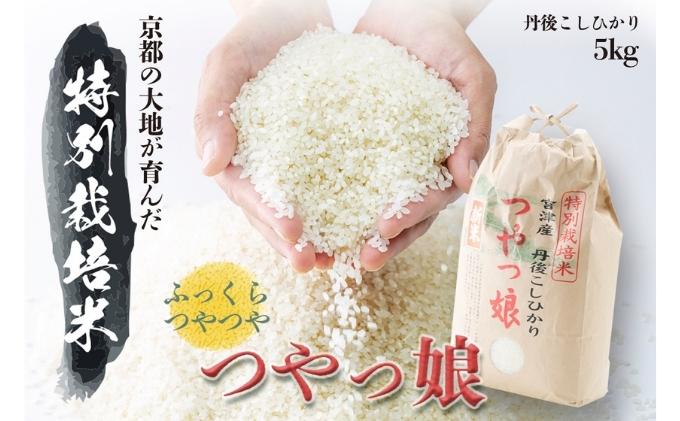 令和7年産 特別栽培米つやっ娘米 5kg 丹後こしひかり お米 米 ご飯 コシヒカリ つやっ娘 丹後 宮津 京都 海の京都 特別栽培米 グルメ