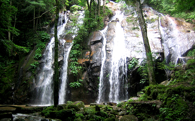 【日本三景・天橋立】旅館組合20施設から選べる旅行クーポン（宿泊・食事補助券）15,000円分 ～海の京都 宮津で過ごす絶景旅に～