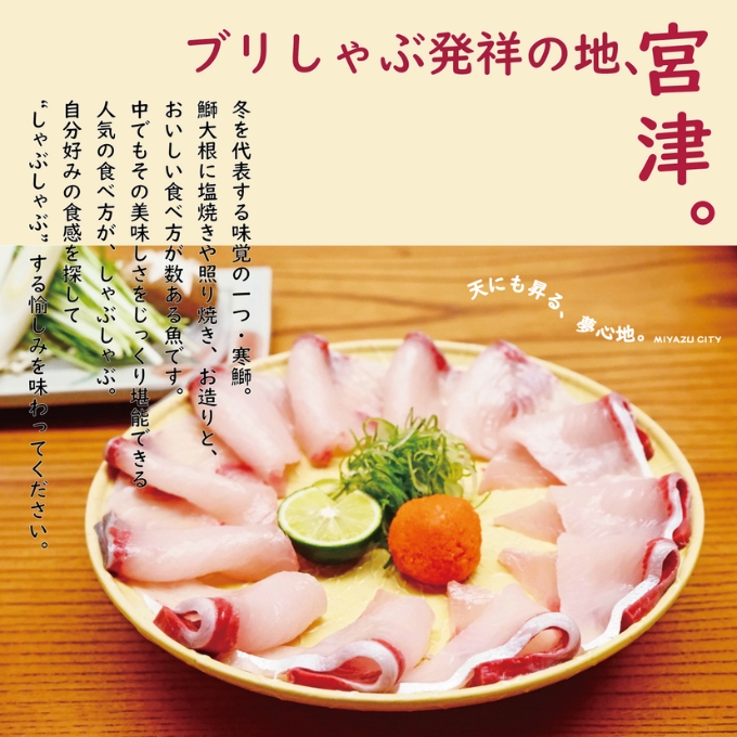 【日本三景・天橋立】旅館組合20施設から選べる旅行クーポン（宿泊・食事補助券）3,000円分 ～海の京都 宮津で過ごす絶景旅に～