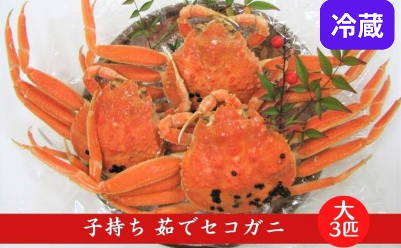 国産 子持ち 茹で セコガニ 大サイズ 3杯セット(冷蔵) カニ 蟹 かに