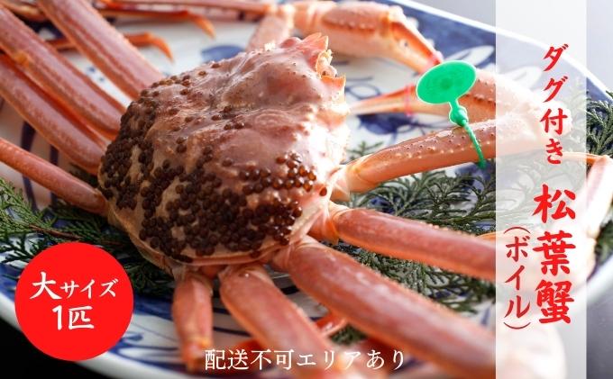 蟹 タグ付き 松葉蟹 (ボイル) 大1匹分[ かに カニ 松葉ガニ ] ブランド蟹