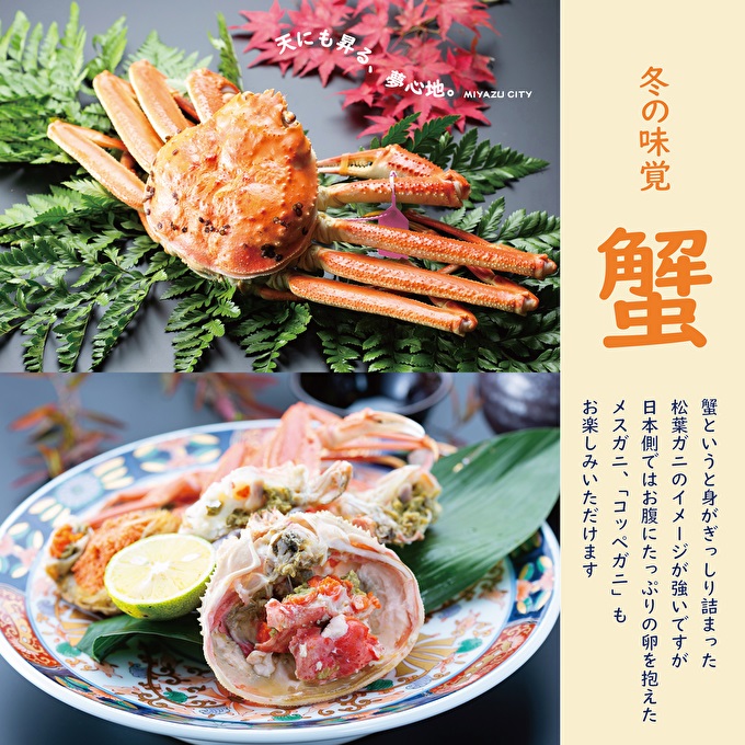 【日本三景・天橋立】旅館組合20施設から選べる旅行クーポン（宿泊・食事補助券）3,000円分 ～海の京都 宮津で過ごす絶景旅に～