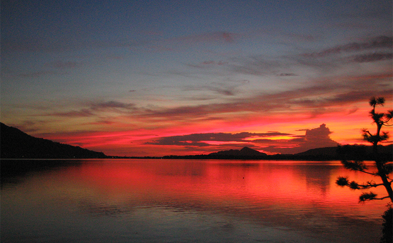 譌・譛ャ縺ョ蟆丞ョソ縲蜥後ョ繧ェ繝シ繝吶Ν繧ク繝・縲amano-hashidate 蟷ス譁弱蜈ィ繝励Λ繝ウ縺ォ菴ソ縺医k螳ソ豕翫け繝シ繝昴Φ蛻クシ30,000蜀シ牙、ゥ讖狗ォ 譌鬢ィ 貂ゥ豕 蜥碁「ィ 螳ソ豕雁虻 隕ウ蜈 譌陦 莠ャ驛ス 螳ョ豢・蟶