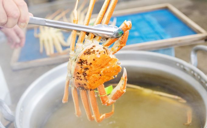 【配送日指定可】茹で松葉蟹 特々大2杯（1,100g級）〈11月中旬～2026年3月末頃発送〉 蟹 カニ かに 松葉蟹 松葉ガニ ズワイガニ ボイル