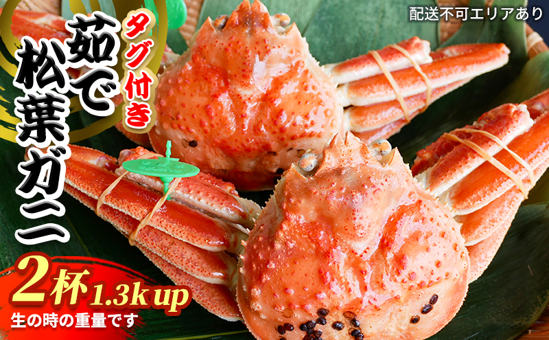 松葉ガニ　茹で　タグ付き　1.3kg up　2杯《2024年11月中旬?12月中旬、もしくは、2025年1月中旬以降以降順次発送》