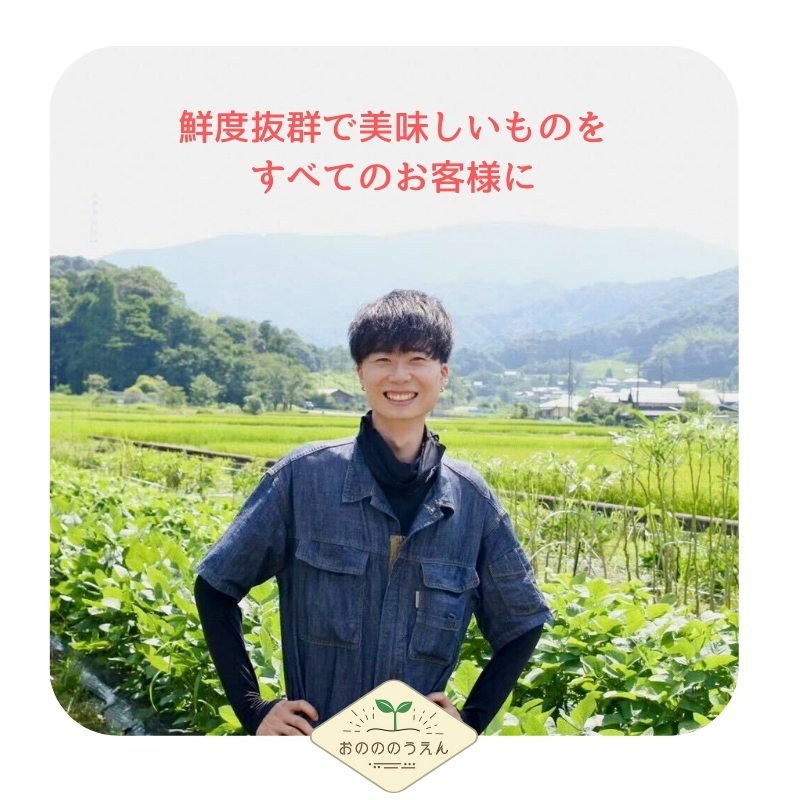 ã2026幎çºéåäºçŽã京éœåºç£ãæ°çå§ 3kg æ œå¹æéäž èŸ²è¬ ååŠè¥æ é€èå€äžäœ¿çš çå§ ãããã é
¢æŒ¬ã è¬å³ éè çŽ
è¶ ã¬ãª ãã¥ãŒã〠å¥åº· åœç£ ãã€ãŸã¿