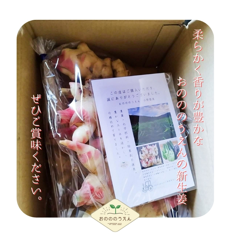 ã2026幎çºéåäºçŽã京éœåºç£ãæ°çå§ 3kg æ œå¹æéäž èŸ²è¬ ååŠè¥æ é€èå€äžäœ¿çš çå§ ãããã é
¢æŒ¬ã è¬å³ éè çŽ
è¶ ã¬ãª ãã¥ãŒã〠å¥åº· åœç£ ãã€ãŸã¿