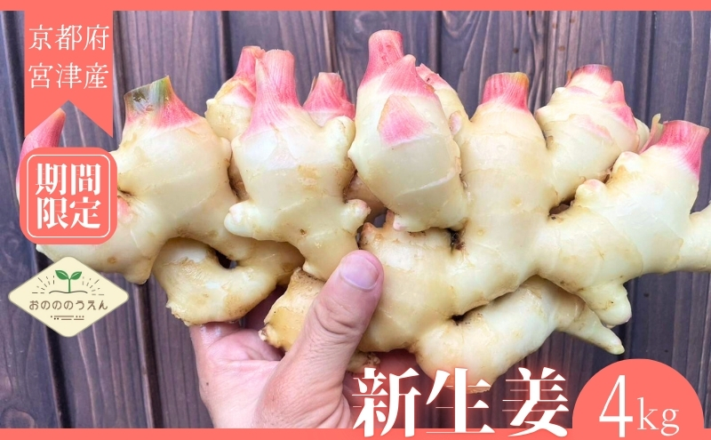 ã2026幎çºéåäºçŽã京éœåºç£ãæ°çå§ 4kg æ œå¹æéäž èŸ²è¬ ååŠè¥æ é€èå€äžäœ¿çš çå§ ãããã é
¢æŒ¬ã è¬å³ éè çŽ
è¶ ã¬ãª ãã¥ãŒã〠å¥åº· åœç£ ãã€ãŸã¿