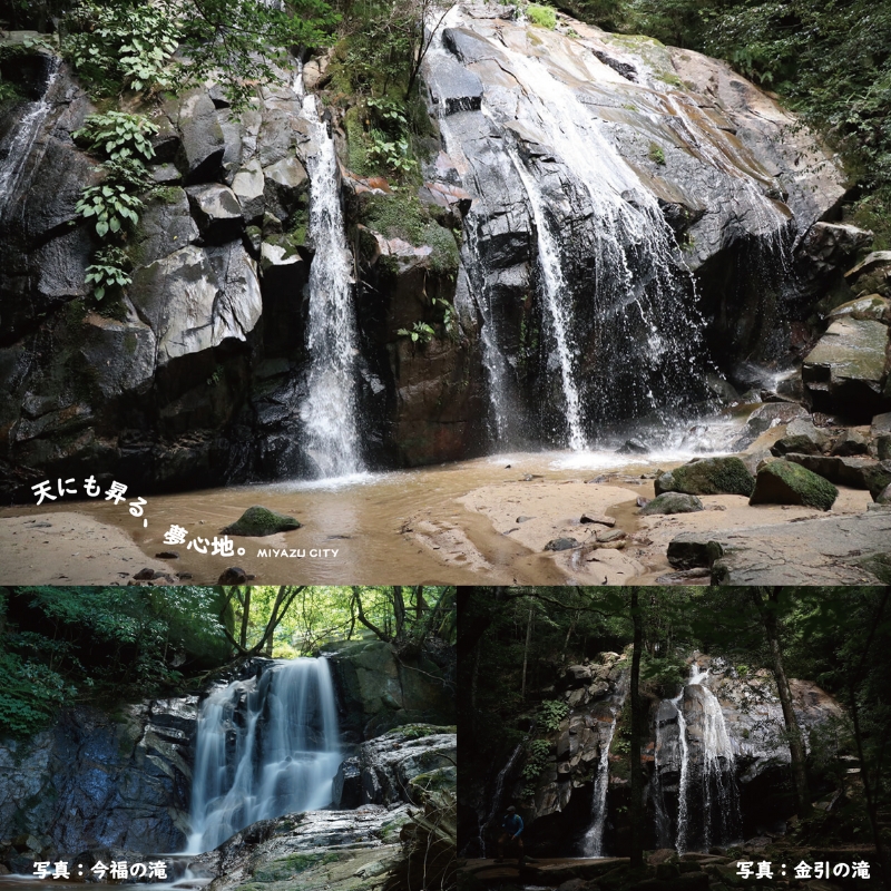 æ¥æ¬äžæ¯ã倩æ©ç«ãã®æ
通çµåæœèšã§ãå©çšé ããã宿æ³ã»é£äºè£å©åžJ(600,000å)ã