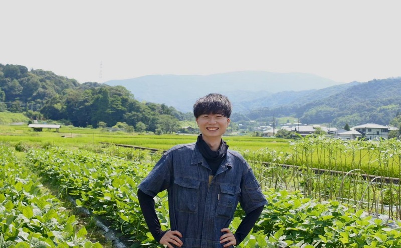 【令和9年1月より順次出荷】京都府産　干し芋(紅はるか) 150g×4袋　さつまいも サツマイモ 紅はるか ねっとり 自家栽培 宮津市 京都府　栽培期間中農薬・化学肥料・除草剤不使用 myz11 myz20