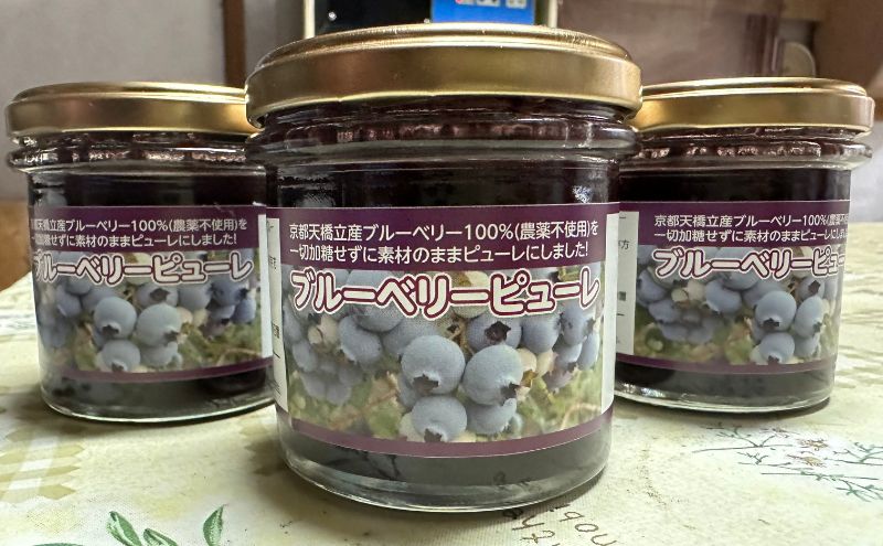 ブルーベリーピューレ 3個セット ピューレ フルーツソース ブルーベリー100% 無糖 ヨーグルト パン 宮津市 京都 myz06 myz08 myz11 myz19 myz20 myz21 myz22 myz24 myz26