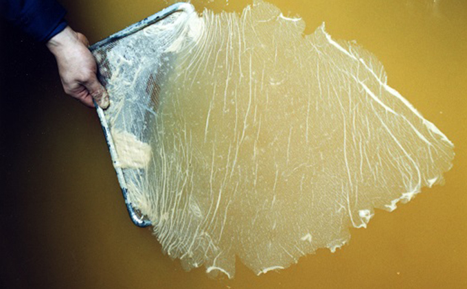 【定期便12ヶ月連続お届け】食べる富士酢（酢酸菌入り）×1箱、紅芋酢500ml×1本 飯尾醸造 富士酢 酢 お酢 マリネ ドレッシング 酢漬け 健康