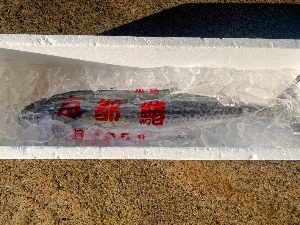 荳譛ャ驥」縲檎音驕ク闊ケ荳頑エサ縲繧オ繝ッ繝ゥ縲堺コャ驛ス螳ョ豢・