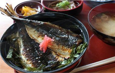 宮津天橋立お食事クーポン　5,000円分 myz00 myz11 myz15