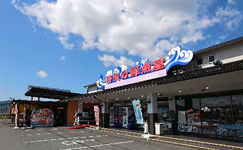やまいち自慢の特大サバヘシコ　2本 鯖 料理 魚 宮津 丹波 京都 手作り ご飯のお供 加工食品 水産物 魚介 myz02 myz11 myz17