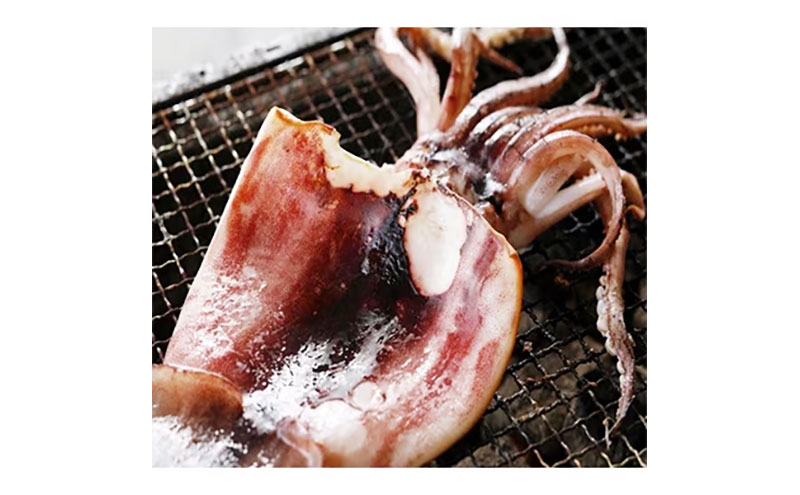 【3ヵ月毎定期便 全4回】日本海産　柔らか肉厚のスルメイカ一夜干し(大)3枚　 魚貝類 イカ いか スルメイカ お酒 つまみ 特大 新鮮 保存 冷凍 国産 酒の肴 酒のつまみ myz02 myz10 myz11 myz17