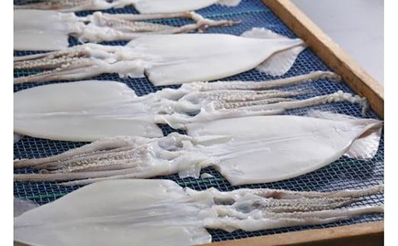 【3ヵ月毎定期便 全4回】日本海産　柔らか肉厚のスルメイカ一夜干し(大)3枚　 魚貝類 イカ いか スルメイカ お酒 つまみ 特大 新鮮 保存 冷凍 国産 酒の肴 酒のつまみ myz02 myz10 myz11 myz17